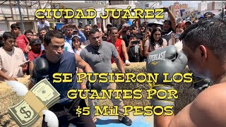 Se Pusieron Los Guantes Por 5 MIL PESOS EN CIUDAD JUÁREZ [upl. by Aicinoid]