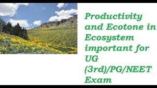 Productivity in EcosystemGPPNPPNCP and Ecotone for NEETUPSCCompetition Exam [upl. by Dloreh]