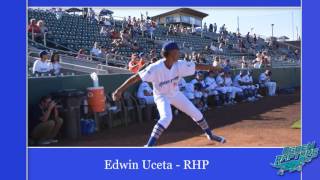 Ogden Raptors  Edwin Uceta  In Motion Pitching [upl. by Enimsay929]