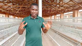 How to Fully Install Battery Cages for Layers  Poultry Egg Production [upl. by Naniac529]