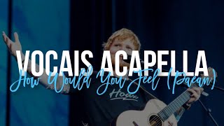 How Would You Feel Paean  Ed Sheeran ACAPELLA [upl. by Airetal]