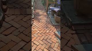 creative diy adding polymeric sand to I patio brikcs [upl. by Aniahs720]