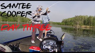 Santee Cooper Spring Time Bass Fishing Lake Marion Carolina King 2021  Day Three [upl. by Ralat]