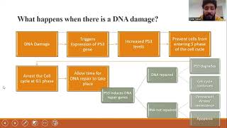 BS9347 Gene Technology and Synthetic Biology oral presentation by Romail tariq rt23021 [upl. by Baggott]