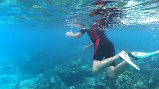 Snorkeling Rose Island Bahamas [upl. by Nilhsa284]