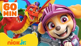 PAW Patrol Dragon Adventures amp Rescues 🐉 1 Hour  Nick Jr [upl. by Stanway831]