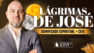 As lágrimas de José significado espiritual  Como entrar no propósito de DeusViniciusIracet [upl. by Ennasirk975]