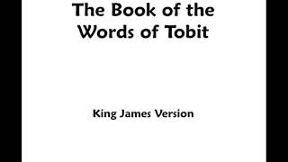 Tobit  KJV  Audio Bible [upl. by Devy]