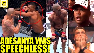 MMA Community reacts to Alex Pereira Knocking out Jamahal Hill at the GREATEST CARD EVER UFC 300 [upl. by Omocaig]