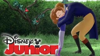 Vatertag  Papi der Superheld  auf DISNEY JUNIOR [upl. by Charpentier]