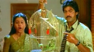 Andhamaina Full Video Song  Srimathi Vellostha Movie  Jagapati Babu Devayani [upl. by Goodman]