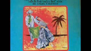 El Torito Jarocho  Conjunto jarocho Villa del Mar de Angel Valencia son jarocho [upl. by Attiuqram467]