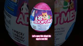 Opening an ADOPT ME EGG irl roblox adoptme surprise [upl. by Greenwald]