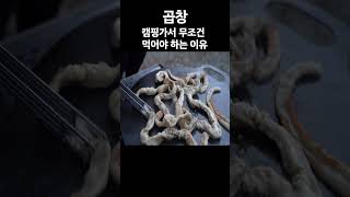 캠핑가서 곱창 꼭 먹어야 하는 이유 캠핑 곱창 도토리TV [upl. by Thorman]