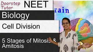 Cell Division  Mitosis amp Amitosis 5 Stages of Mitosis  Memory Tricks  NEET  AIIMS  MCAT [upl. by Asilram]