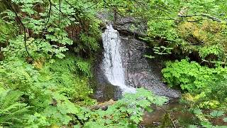 Covel Creek Falls Washington [upl. by Amis253]