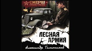 Лесная армия  Александр Тамоников аудиокнига [upl. by Iphlgenia]