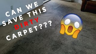 Extreme Carpet Cleaning Transformation   MUST WATCH [upl. by Anerul]