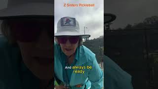 Pickleball Ball Pickup Issue Ballzies the Solution [upl. by Onitnas]