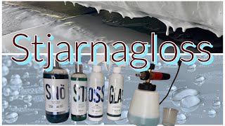 Stjarnagloss Auto Detailing Car Washing Products Foam Wash Detailing Spray Glass CleanersTesla [upl. by Oiratnom]