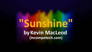 Kevin MacLeod Sunshine Sped up 18x and Reversed [upl. by Dlanigger]