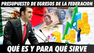 Presupuesto de Egresos De La Federación ¿Qué Es Para Qué Sirve [upl. by Leal]