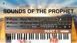 Sequential Prophet 510 a Musical Exploration [upl. by Andree]