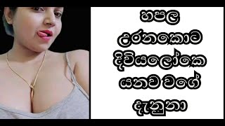 කසුන් මල්ලී  Nirasha TV1 wal katha  aluth wal katha  wal katha new  sinhala wal katha  new wal [upl. by Bijan]