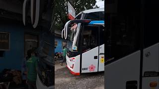 LIVERYNYA UNYU² BANGET KYM TRANS SUITES FAMILY shorts bus kymtrans videobus busmania [upl. by Freemon611]