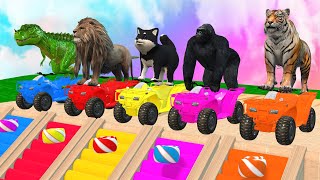 Long Slide Garne With Elephant Gorilla Buffalo Hippopotamus Tiger3d Animal Game  Funny 3d Animals [upl. by Dyan]