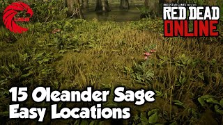 Oleander Sage Locations RDR2 Online  Red Dead Online Oleander Sage Location Guide [upl. by Eelyam]