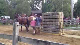 Stratham Fair 2013 Horse Pull [upl. by Arria]