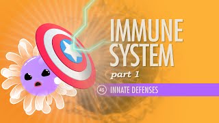 Immune System Part 1 Crash Course Anatomy amp Physiology 45 [upl. by Camm]