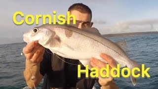 Haddock Fishing  Sea Fishing UK  Tips For Beginners  The Fish Locker [upl. by Volin]