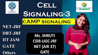 cAMP Signaling Pathway  CSIRUGCJRF  DBT JRF  IIT JAM BT  GATE  Other JRF exams [upl. by Aihsekyw]