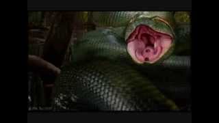 Top 10 Snake Movies [upl. by Adnilrev135]