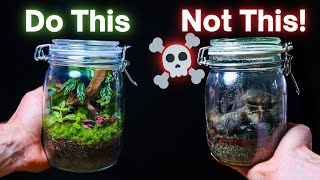 10 ESSENTIAL Terrarium Tips For Beginners [upl. by Franciskus]