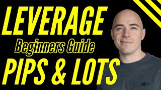 Forex Leverage for Beginners Explained lot sizes and pips [upl. by Murrell]