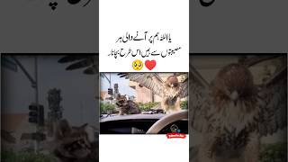 Musebat 🥺❤Islamic Quotes  Sunheri Alfaz  Sad status video  Sad poetry  Deep meaning shorts [upl. by Barbabra]