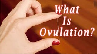 what Does Ovulation Mean  What Is Ovulation [upl. by Farro602]