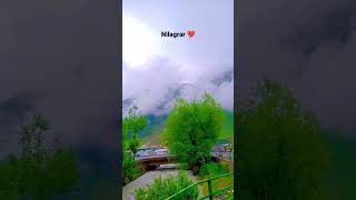 spring season in kashmir song music trendingshorts ytshorts youtubeshorts [upl. by Ayvid]