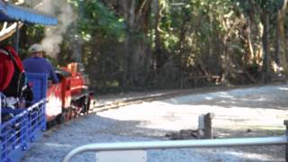 Currumbin wildlife sanctuary steam train [upl. by Catlaina]