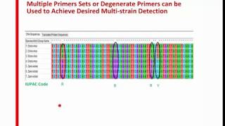 LoopMediated Isothermal Amplification LAMP Primer Design and Assay Optimization [upl. by Dublin403]