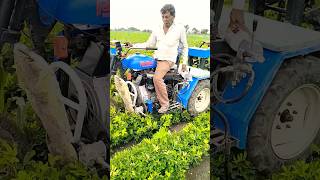 workingtractorsworkingtractor kishanlife khetivadi agriculture viralvideo [upl. by Nwahshar]