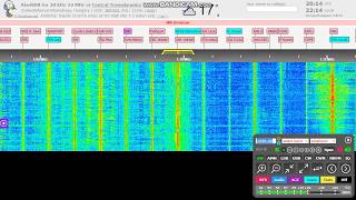 Chinese Firedrake jammer on 1098 kHz [upl. by Kary611]