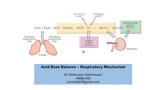 Respiratory Mechanism For The Regulation of pH  Acid Base Balance [upl. by Priscella]