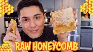 ASMR Eating Raw Honeycomb For the First Time [upl. by Horatius]