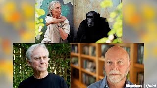 What Jane Goodall Richard Dawkins And Craig Venter Are Reading [upl. by Suez602]