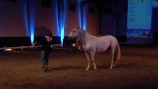 Spectacle équestre au Haras des Bréviaires [upl. by Ennazus]