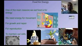 Flippin Science Autotrophs Heterotrophs and Photosynthesis [upl. by Liane]